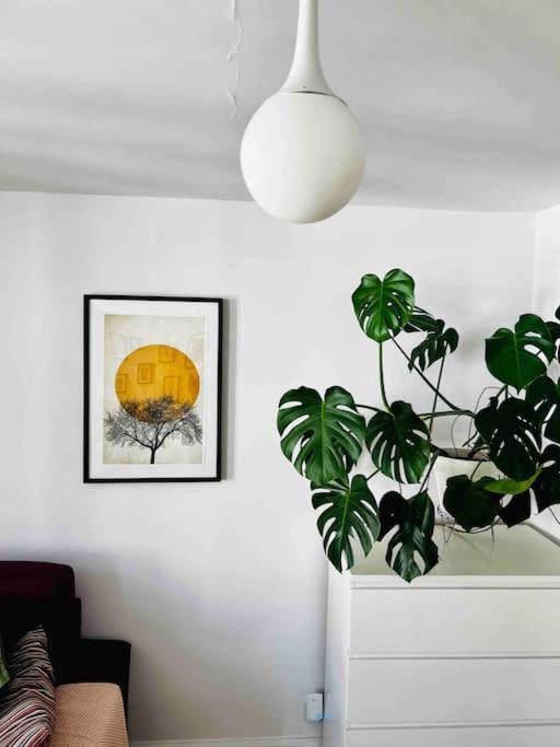 Apartment Skandi - Old Town Mostowa