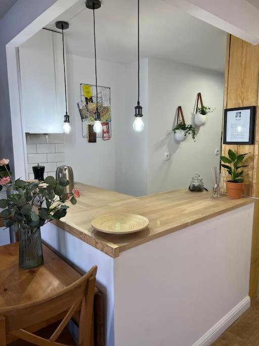 Apartment Skandi - Old Town Mostowa Torun